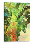 Pájaro De Paradise Palm I - Melinda Bradshaw | Cuadro decorativo de Canvas Lab
