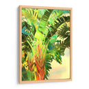 Pájaro De Paradise Palm I - Melinda Bradshaw | Cuadro decorativo de Canvas Lab