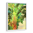 Pájaro De Paradise Palm I - Melinda Bradshaw | Cuadro decorativo de Canvas Lab