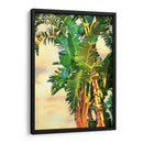 Pájaro De Paradise Palm Ii - Melinda Bradshaw | Cuadro decorativo de Canvas Lab