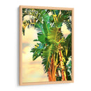 Pájaro De Paradise Palm Ii - Melinda Bradshaw | Cuadro decorativo de Canvas Lab