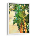 Pájaro De Paradise Palm Ii - Melinda Bradshaw | Cuadro decorativo de Canvas Lab