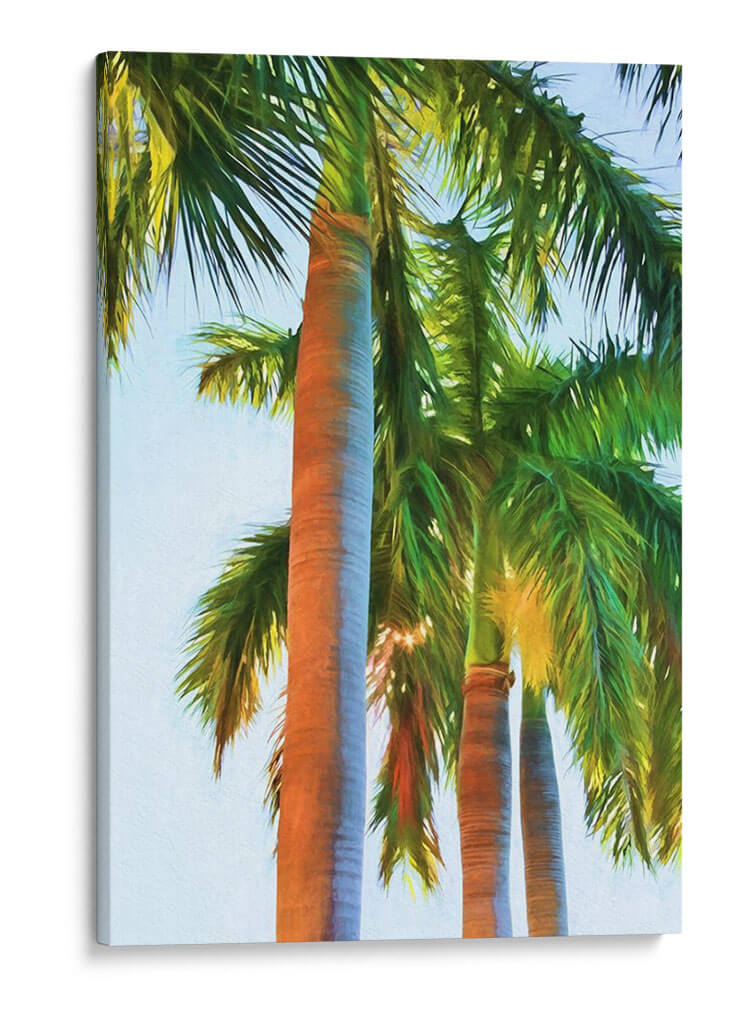 Tres Reales - Melinda Bradshaw | Cuadro decorativo de Canvas Lab