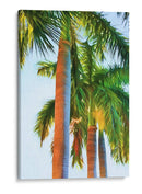 Tres Reales - Melinda Bradshaw | Cuadro decorativo de Canvas Lab