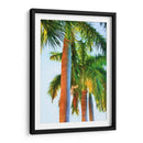 Tres Reales - Melinda Bradshaw | Cuadro decorativo de Canvas Lab