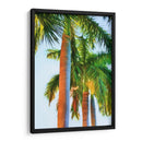 Tres Reales - Melinda Bradshaw | Cuadro decorativo de Canvas Lab