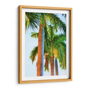 Tres Reales - Melinda Bradshaw | Cuadro decorativo de Canvas Lab