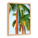 Tres Reales - Melinda Bradshaw | Cuadro decorativo de Canvas Lab