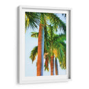 Tres Reales - Melinda Bradshaw | Cuadro decorativo de Canvas Lab
