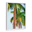 Tres Reales - Melinda Bradshaw | Cuadro decorativo de Canvas Lab