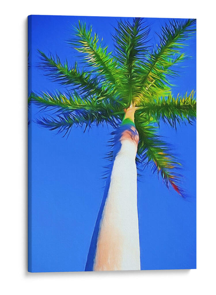 Palma De Cielo Azul I - Melinda Bradshaw | Cuadro decorativo de Canvas Lab