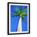 Palma De Cielo Azul I - Melinda Bradshaw | Cuadro decorativo de Canvas Lab