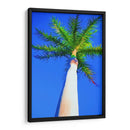 Palma De Cielo Azul I - Melinda Bradshaw | Cuadro decorativo de Canvas Lab