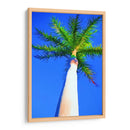 Palma De Cielo Azul I - Melinda Bradshaw | Cuadro decorativo de Canvas Lab