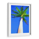Palma De Cielo Azul I - Melinda Bradshaw | Cuadro decorativo de Canvas Lab