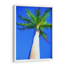 Palma De Cielo Azul I - Melinda Bradshaw | Cuadro decorativo de Canvas Lab