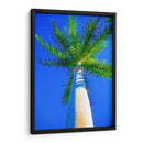 Cielo Azul Palm Ii - Melinda Bradshaw | Cuadro decorativo de Canvas Lab