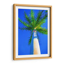 Cielo Azul Palm Ii - Melinda Bradshaw | Cuadro decorativo de Canvas Lab