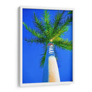 Cielo Azul Palm Ii - Melinda Bradshaw | Cuadro decorativo de Canvas Lab
