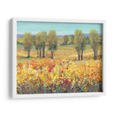 Campos Dorados I - Tim OToole | Cuadro decorativo de Canvas Lab