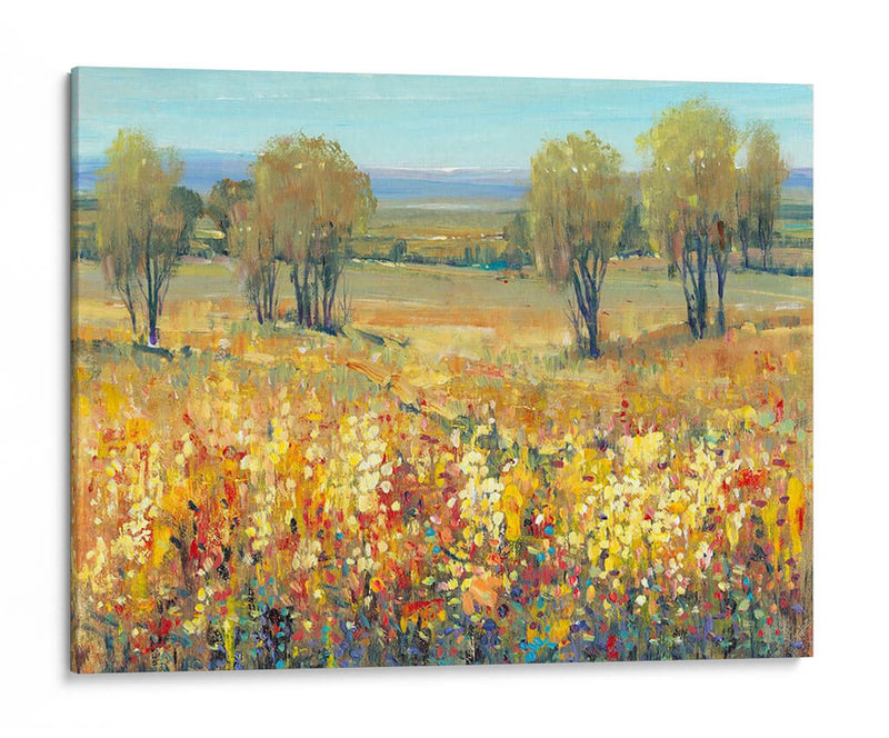 Golden Fields Ii - Tim OToole | Cuadro decorativo de Canvas Lab