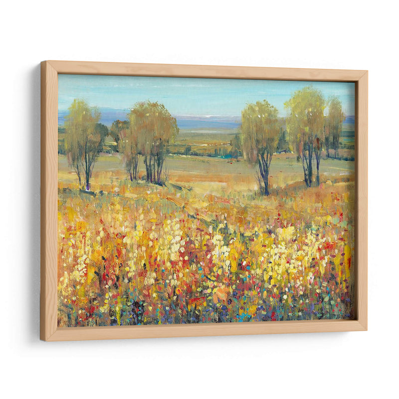 Golden Fields Ii - Tim OToole | Cuadro decorativo de Canvas Lab