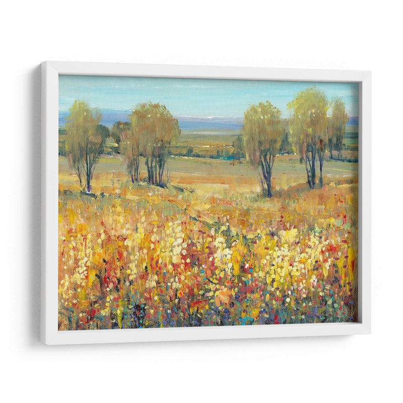 Golden Fields Ii - Tim OToole | Cuadro decorativo de Canvas Lab