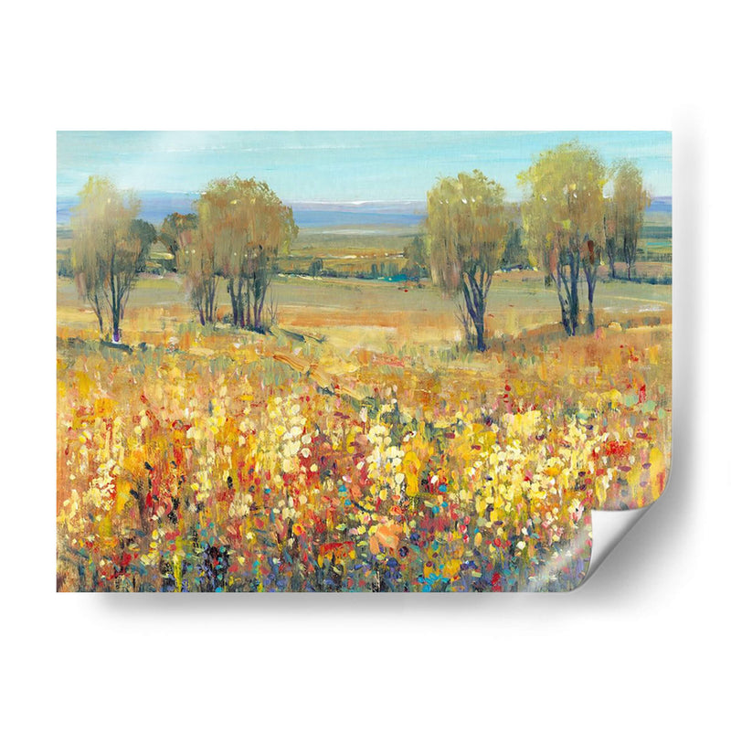 Golden Fields Ii - Tim OToole | Cuadro decorativo de Canvas Lab