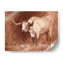 Sienna Especulación - Jack Sorenson | Cuadro decorativo de Canvas Lab