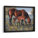 Flor Silvestre - Jack Sorenson | Cuadro decorativo de Canvas Lab