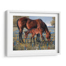 Flor Silvestre - Jack Sorenson | Cuadro decorativo de Canvas Lab