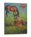 Manta India - Jack Sorenson | Cuadro decorativo de Canvas Lab