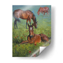 Manta India - Jack Sorenson | Cuadro decorativo de Canvas Lab