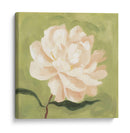 Peonía En Olive I - Emma Scarvey | Cuadro decorativo de Canvas Lab