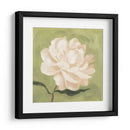 Peonía En Olive I - Emma Scarvey | Cuadro decorativo de Canvas Lab