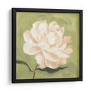 Peonía En Olive I - Emma Scarvey | Cuadro decorativo de Canvas Lab