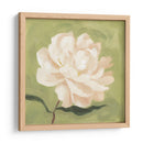 Peonía En Olive I - Emma Scarvey | Cuadro decorativo de Canvas Lab