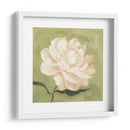 Peonía En Olive I - Emma Scarvey | Cuadro decorativo de Canvas Lab