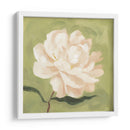 Peonía En Olive I - Emma Scarvey | Cuadro decorativo de Canvas Lab