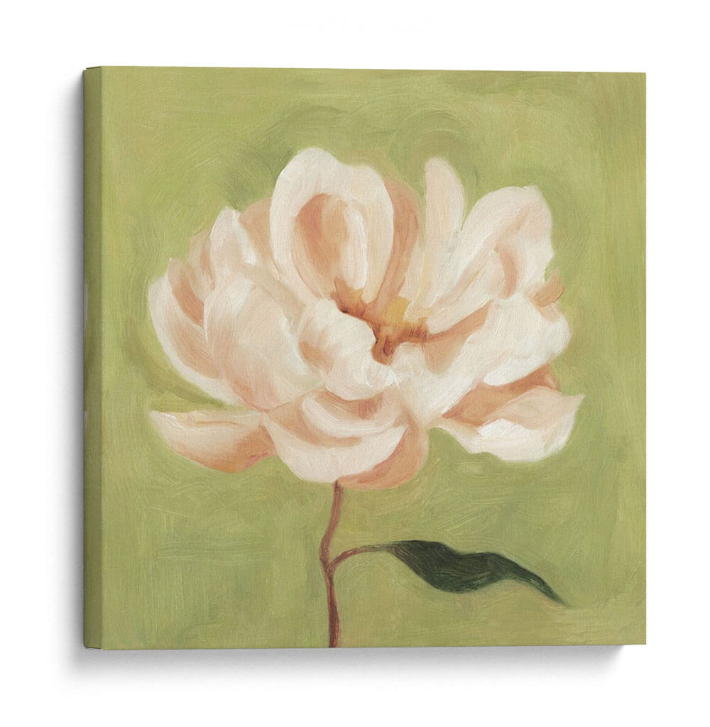 Peonía En Olive Ii - Emma Scarvey | Cuadro decorativo de Canvas Lab