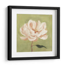 Peonía En Olive Ii - Emma Scarvey | Cuadro decorativo de Canvas Lab