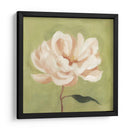 Peonía En Olive Ii - Emma Scarvey | Cuadro decorativo de Canvas Lab