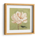 Peonía En Olive Ii - Emma Scarvey | Cuadro decorativo de Canvas Lab