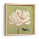 Peonía En Olive Ii - Emma Scarvey | Cuadro decorativo de Canvas Lab