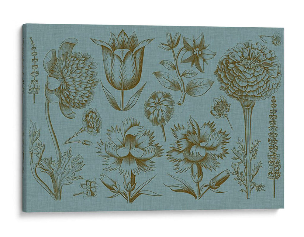 Pantalla De Flores Ii - Vision Studio | Cuadro decorativo de Canvas Lab