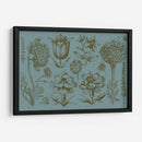 Pantalla De Flores Ii - Vision Studio | Cuadro decorativo de Canvas Lab