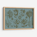 Pantalla De Flores Ii - Vision Studio | Cuadro decorativo de Canvas Lab