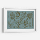 Pantalla De Flores Ii - Vision Studio | Cuadro decorativo de Canvas Lab