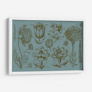 Pantalla De Flores Ii - Vision Studio | Cuadro decorativo de Canvas Lab