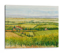 Viaje De Vino Vista I - Tim OToole | Cuadro decorativo de Canvas Lab